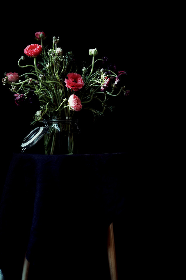 flower-still-life-flora-desktop-rose 图片素材