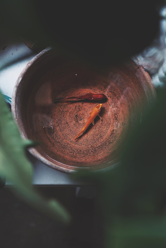 no-person-one-blur-food-people 图片素材