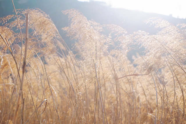 landscape-nature-sky-snow-season 图片素材