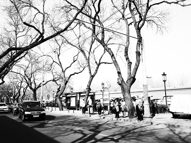 street-winter-tree-snow-people 图片素材