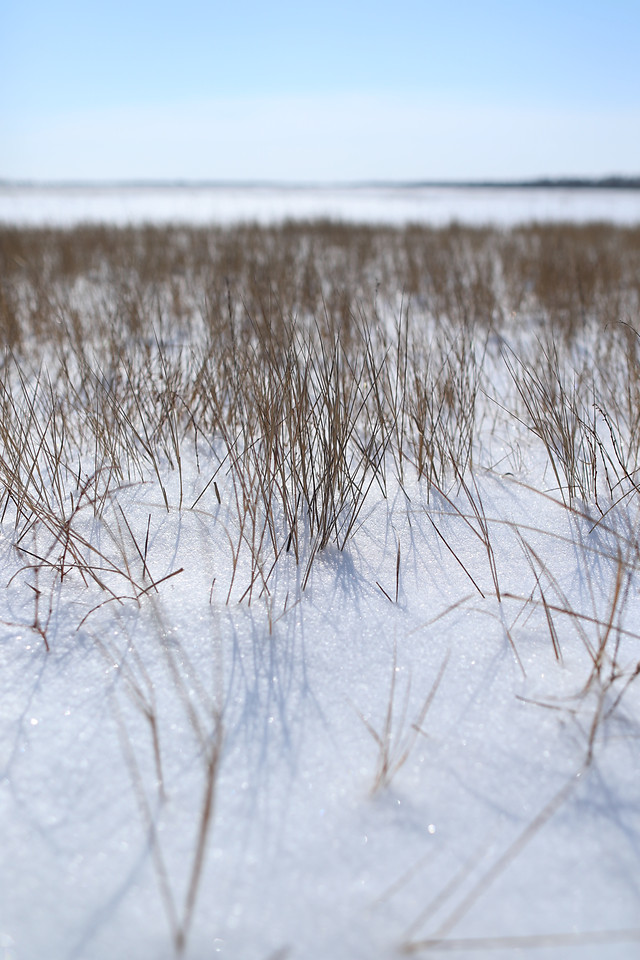 winter-snow-landscape-nature-cold 图片素材