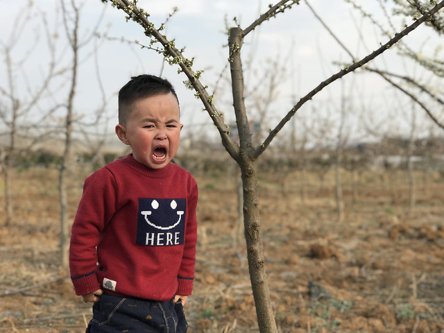 child-outdoors-tree-people-one picture material