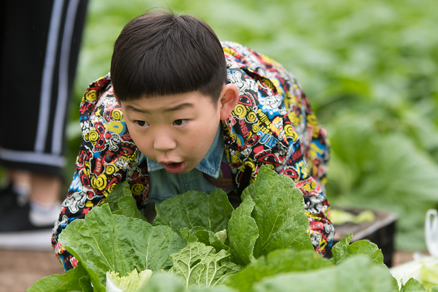 child-nature-outdoors-people-portrait 图片素材