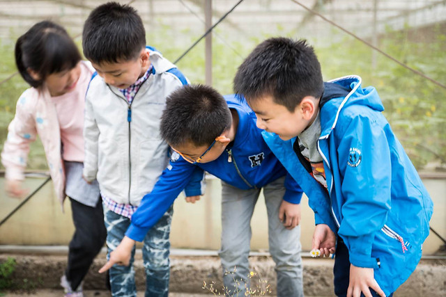 child-boy-fun-family-people 图片素材