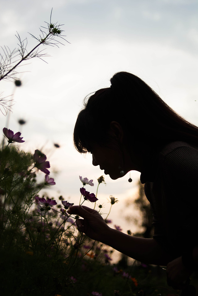 girl-people-flower-monochrome-sky 图片素材