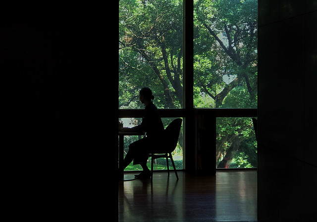 window-people-silhouette-light-shadow 图片素材