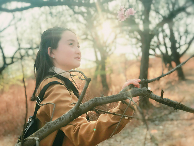 tree-people-girl-one-outdoors picture material