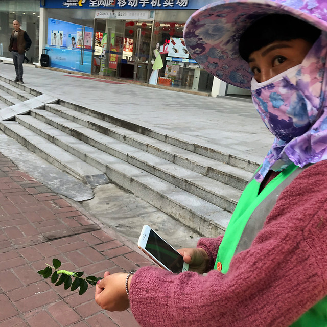 child-people-lid-wear-green picture material