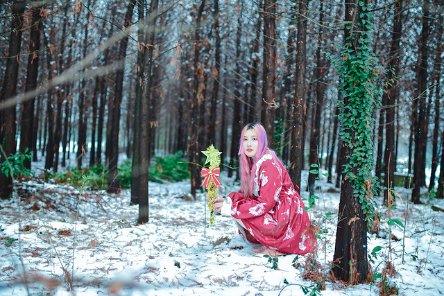 wood-nature-tree-winter-park picture material