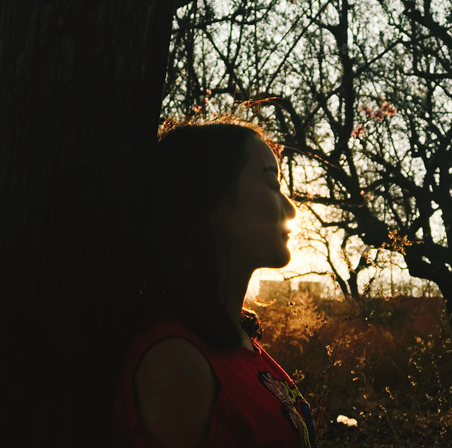 tree-people-landscape-park-nature picture material