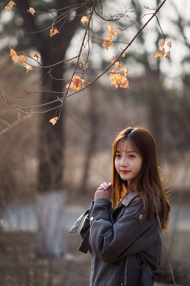 fall-winter-nature-girl-woman picture material