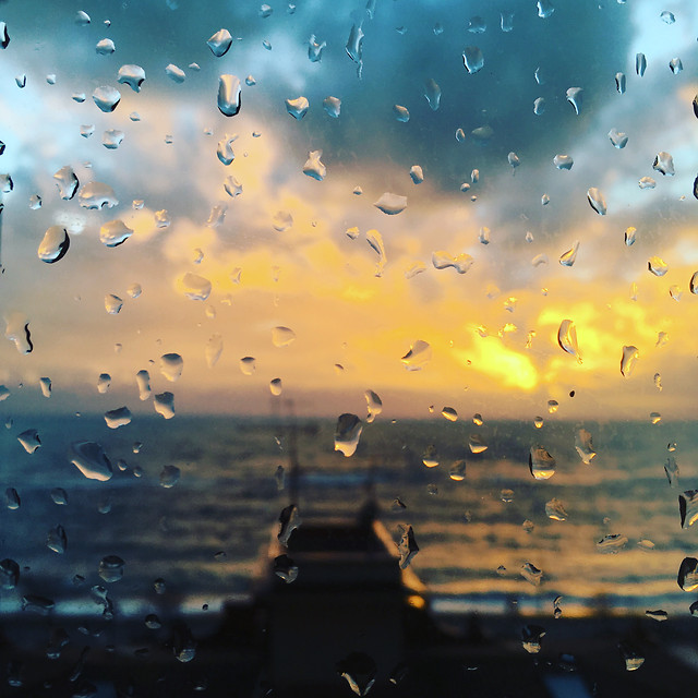 rain-reflection-water-wet 图片素材