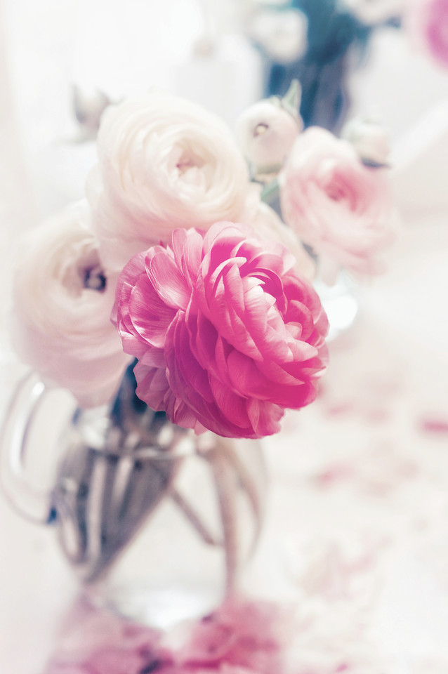 flower-wedding-love-bouquet-floral 图片素材