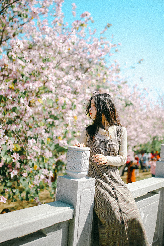 flower-woman-nature-outdoors-photograph 图片素材
