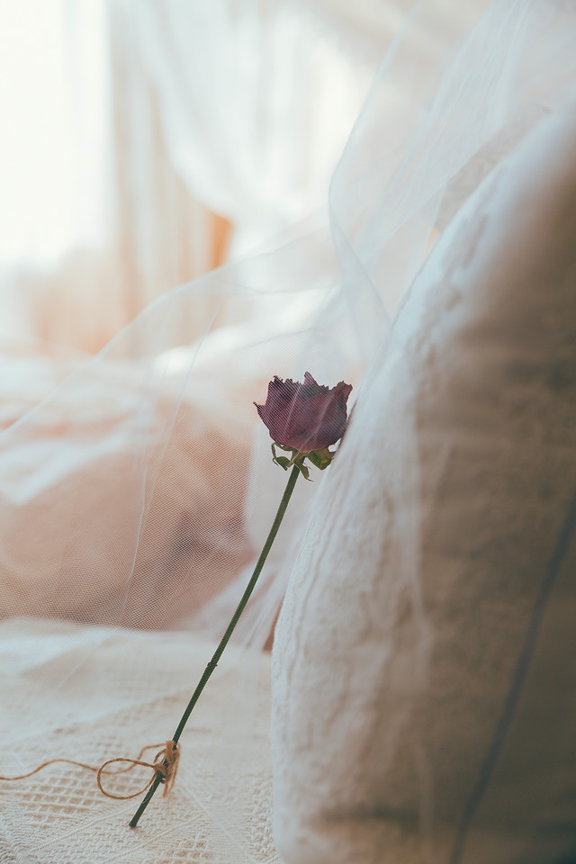 wedding-flower-bride-photograph-love 图片素材