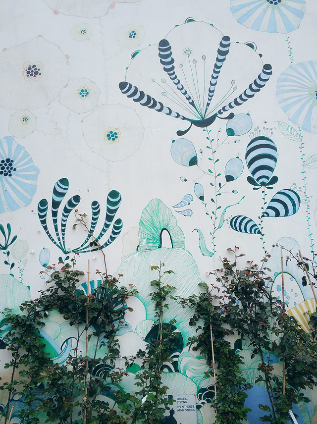 三圣乡 图片素材