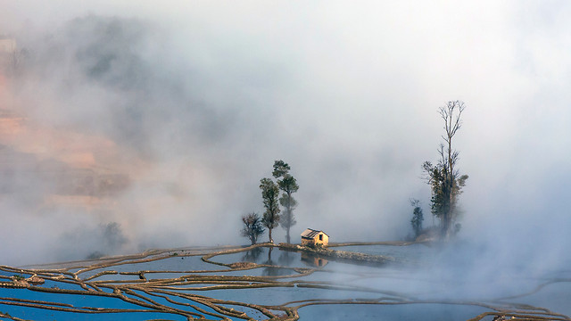 fog-water-smoke-winter-no-person picture material