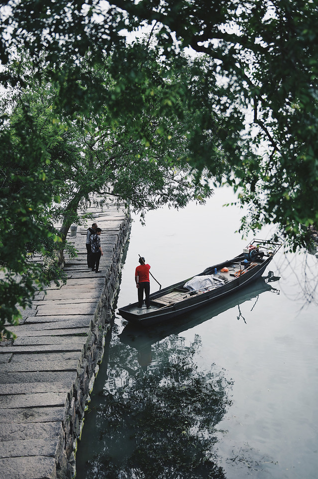 tree-no-person-water-wood-outdoors 图片素材