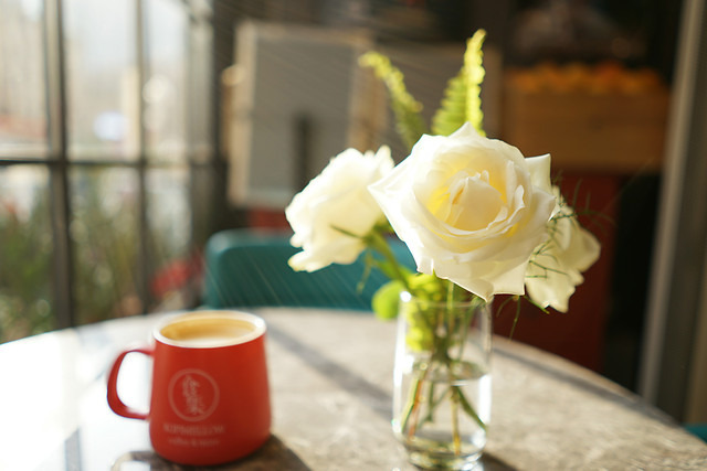 flower-drink-no-person-coffee-yellow 图片素材