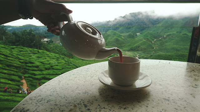 drink-tea-landscape-dawn-food picture material