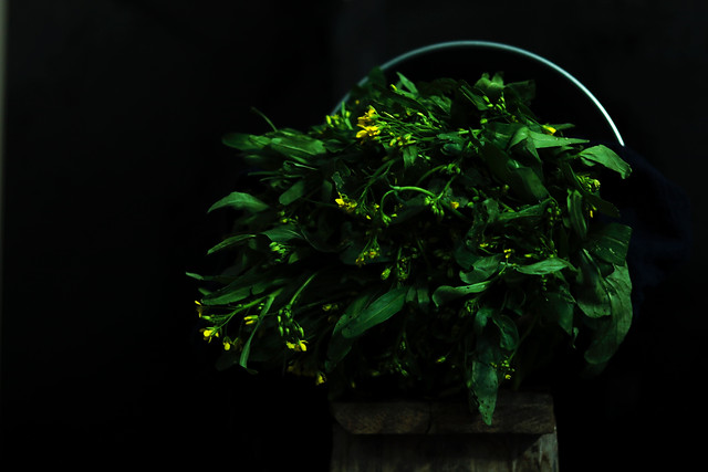 no-person-leaf-food-flora-green picture material