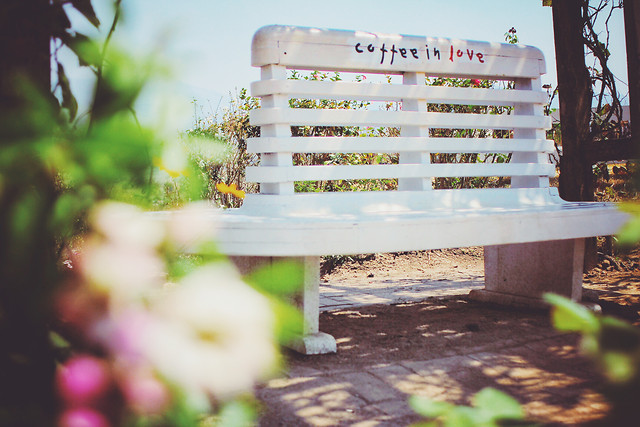 no-person-flower-nature-garden-summer 图片素材