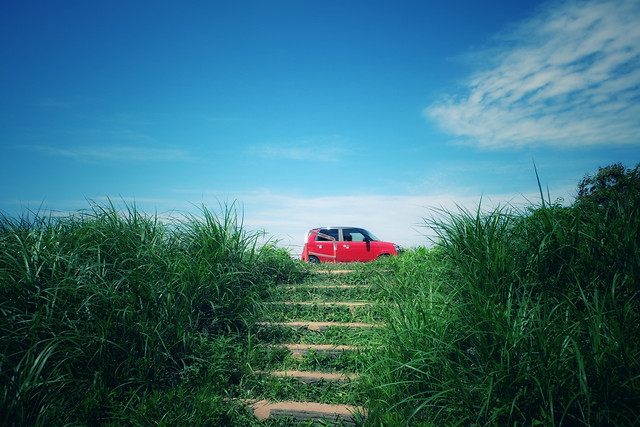 grass-summer-sky-no-person-landscape 图片素材