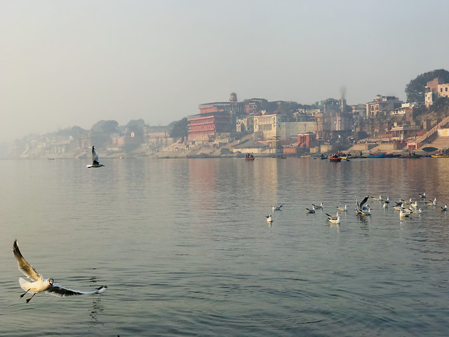 water-no-person-waterway-travel-bird 图片素材