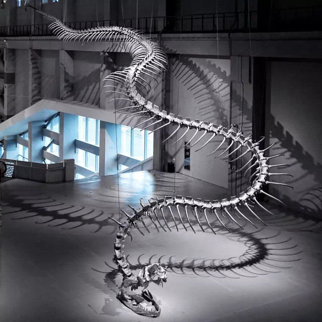 step-illustration-light-art-motion 图片素材