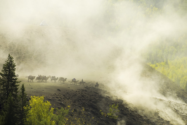 fog-landscape-mist-no-person-nature picture material