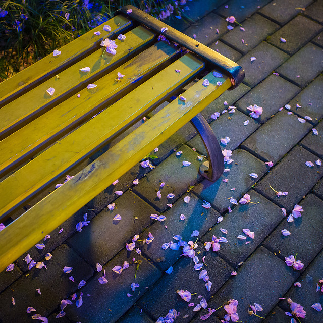 blue-color-no-person-outdoors-park 图片素材