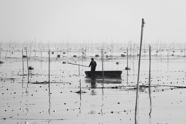 water-people-no-person-watercraft-fisherman 图片素材