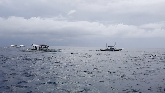water-sea-no-person-watercraft-ocean 图片素材