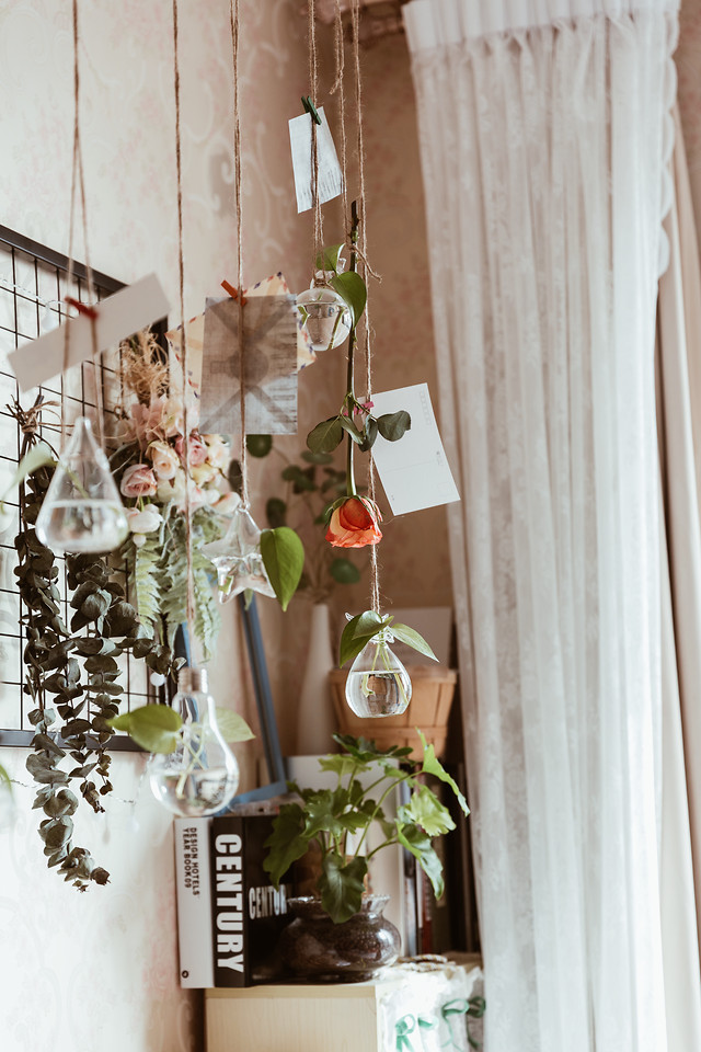 no-person-indoors-family-house-window 图片素材