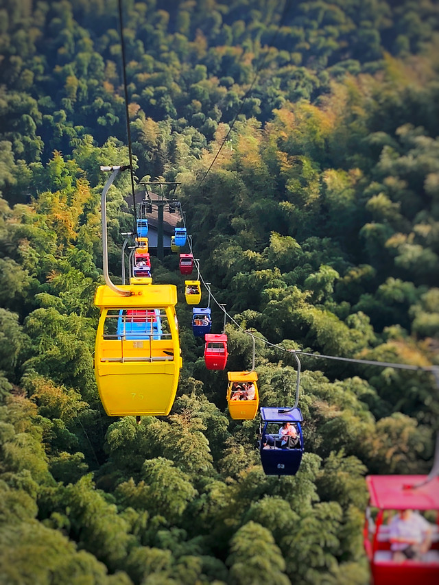 vehicle-no-person-transportation-system-outdoors-tree 图片素材