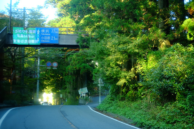 road-no-person-tree-travel-car picture material