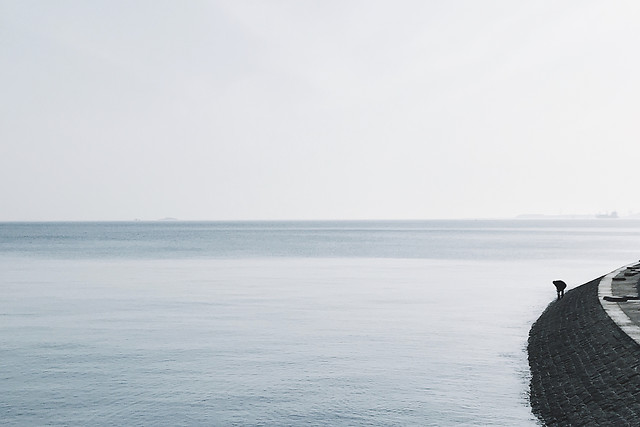 water-sea-landscape-fog-no-person 图片素材