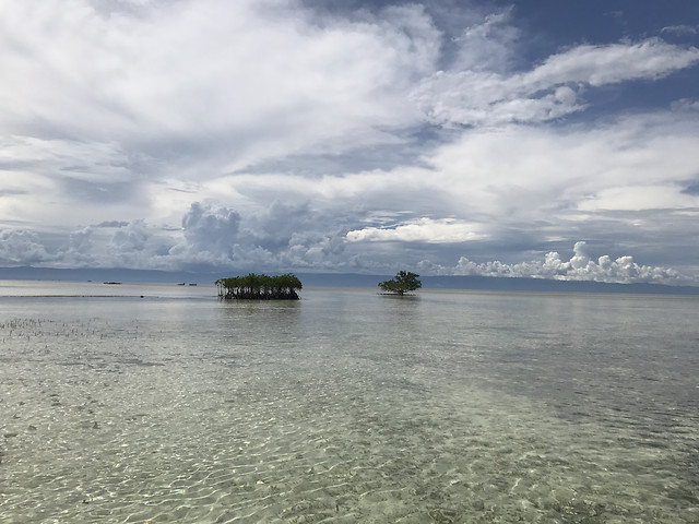 water-beach-sea-ocean-travel 图片素材