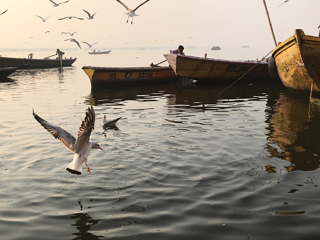 water-watercraft-no-person-boat-fisherman 图片素材