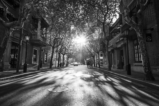 street-road-monochrome-city-no-person picture material