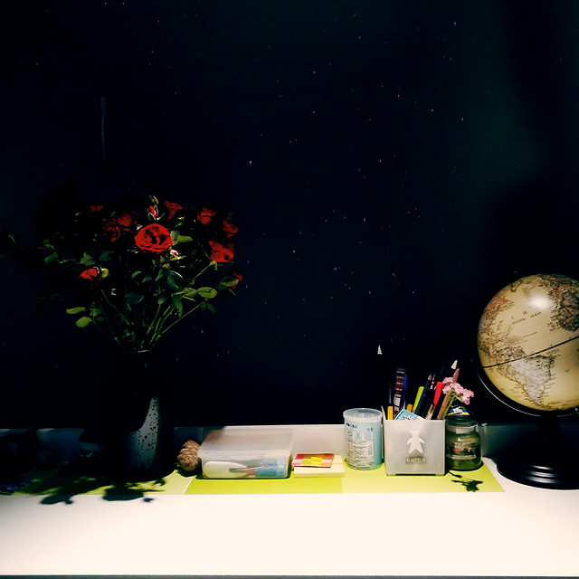 blood-rose 图片素材