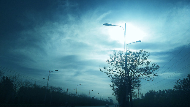 sky-tree-nature-no-person-landscape 图片素材