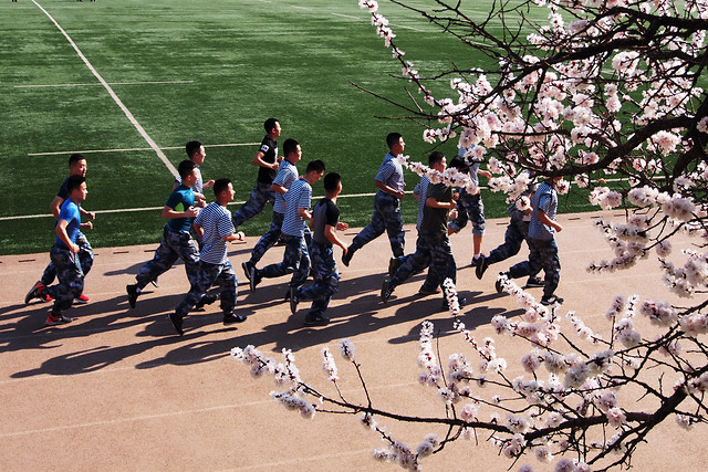 people-man-competition-plant-recreation 图片素材
