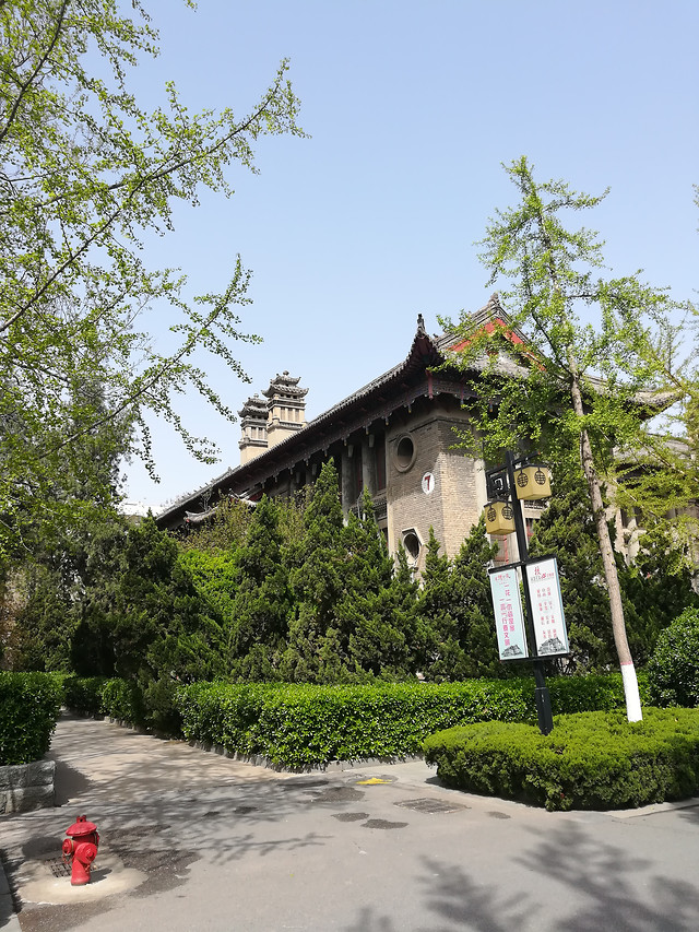 tree-building-travel-house-architecture 图片素材