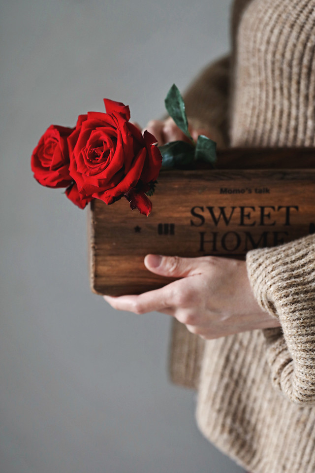 no-person-red-flower-love-people picture material