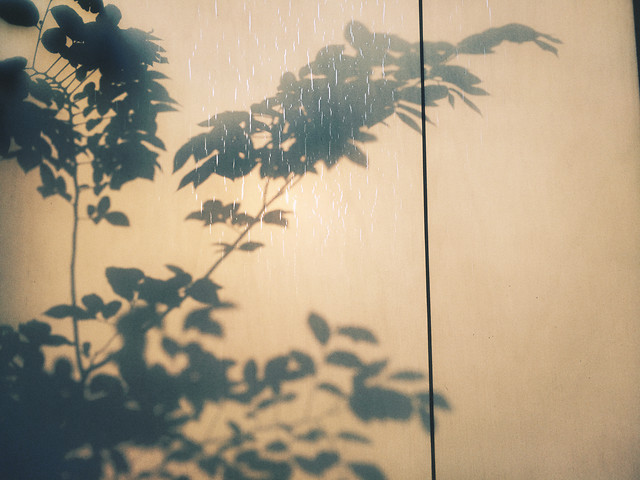 no-person-painting-silhouette-art-tree picture material