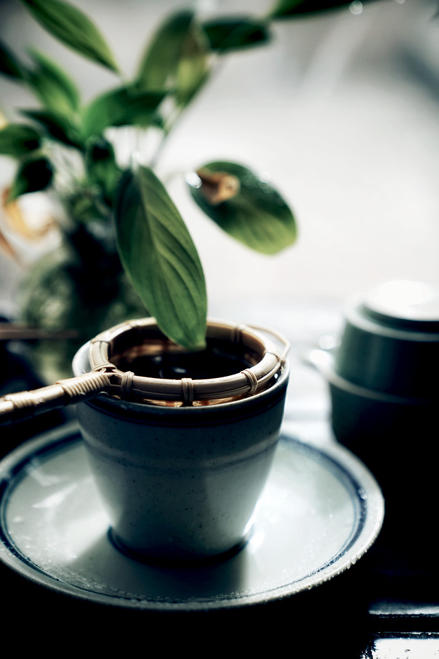 no-person-leaf-still-life-food-blur 图片素材