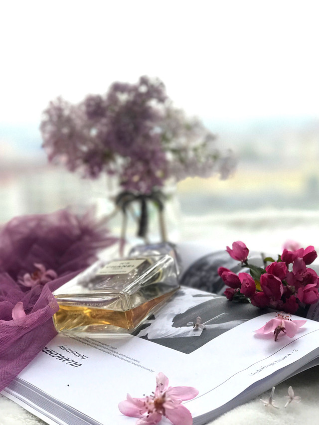 flower-no-person-table-luxury-lilac picture material