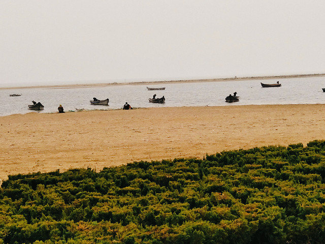 beach-landscape-water-sea-ocean 图片素材