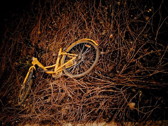 no-person-yellow-desktop-dark-art picture material